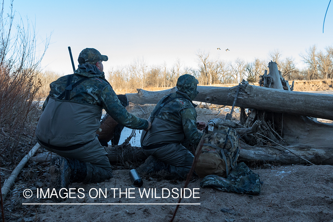 Waterfowl hunting