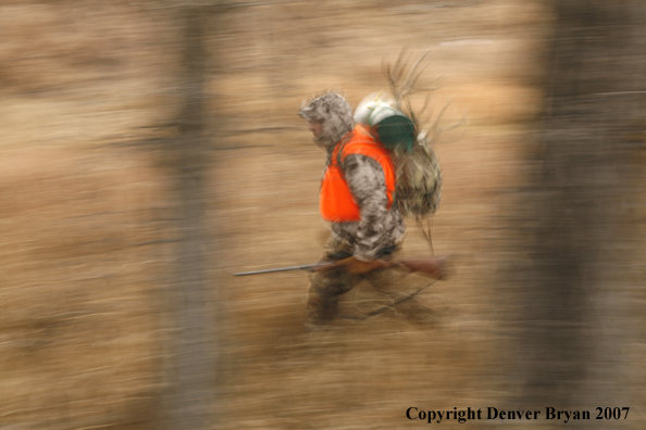 Mule deer hunter in field.