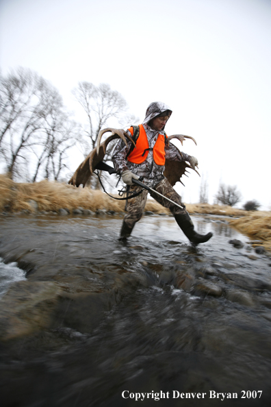 Moose hunter in field