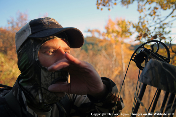 Bow hunter calling elk. 