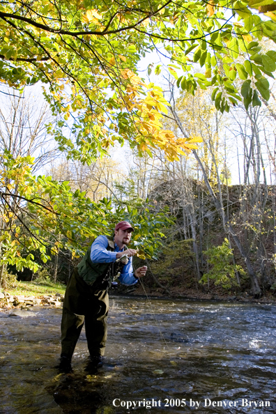 Flyfisherman on Pennsylvania spring creek.