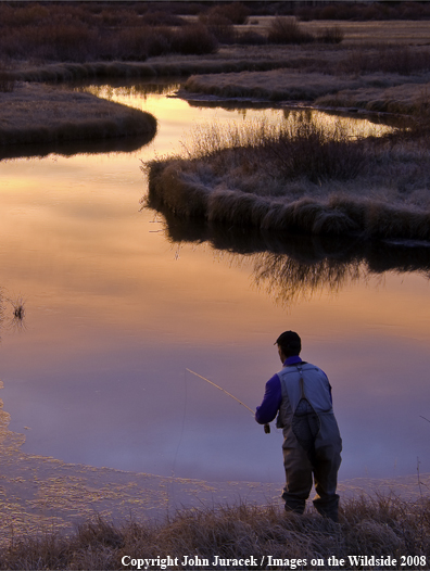 Flyfishing at Maple Creek