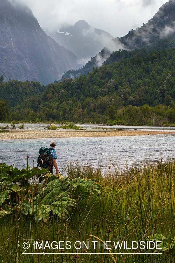 King salmon fishing in Chile.