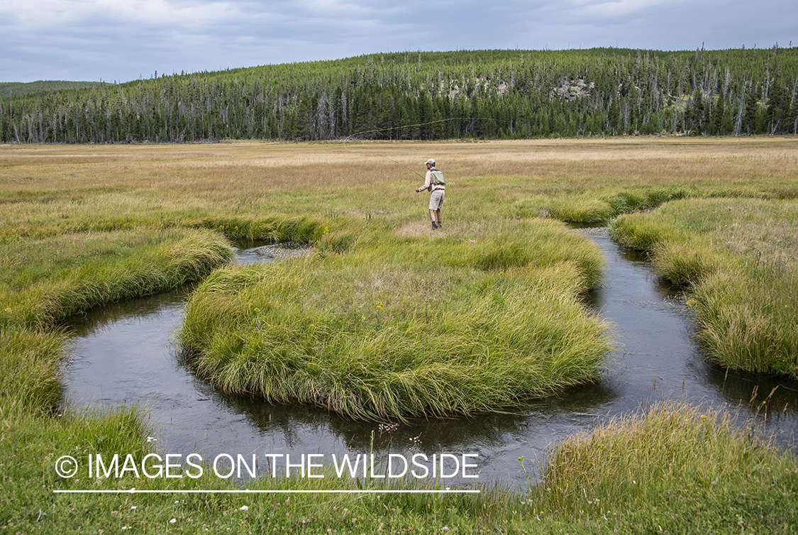 Flyfishing, Sentinel Creek, Yellowstone National Park.