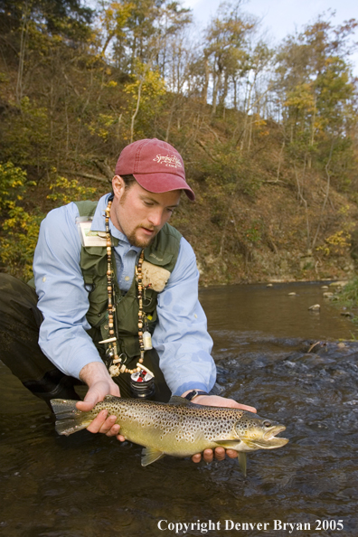 Close-up of nice brown trout.