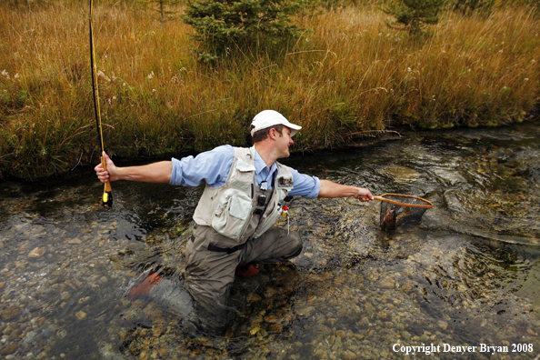 Flyfisherman Netting Cutthroat Trout