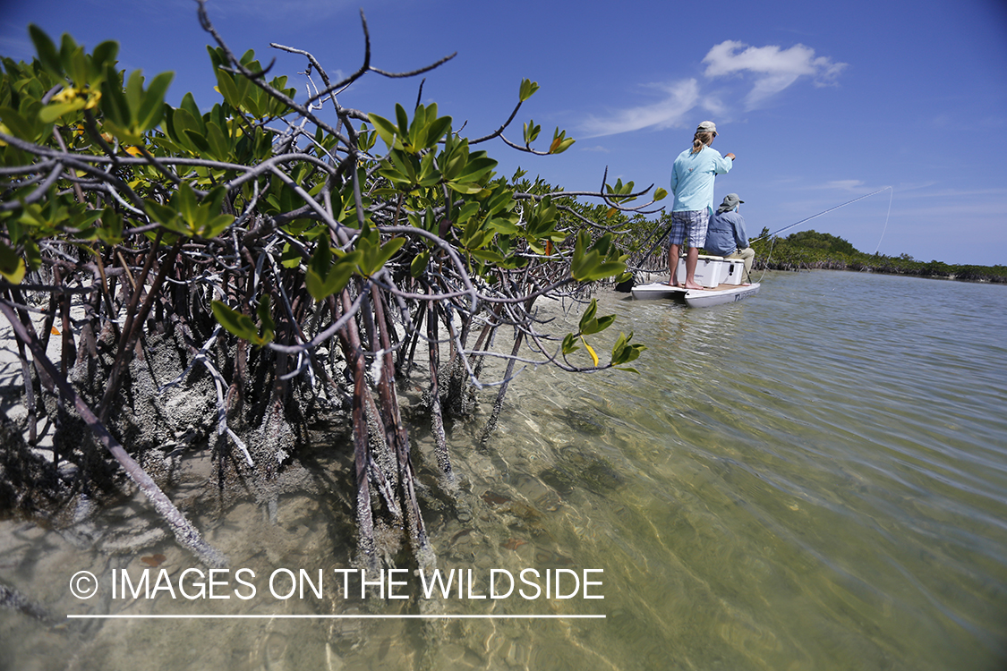 Saltwater flyfishermen on stand up paddle boards.