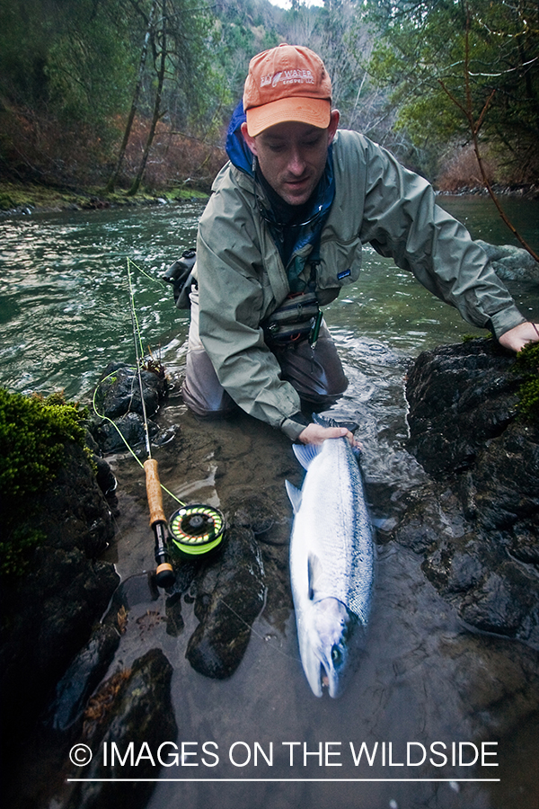 Flyfisherman with steelhead catch.