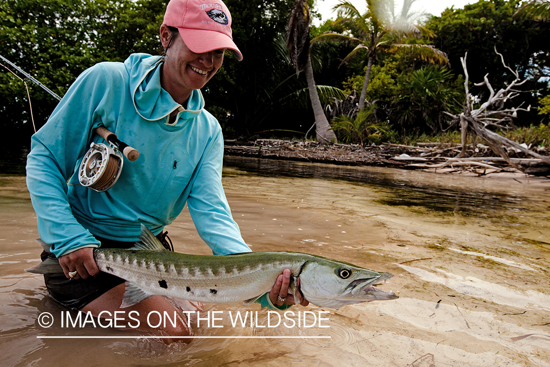 Woman saltwater flyfisher releasing barracuda.