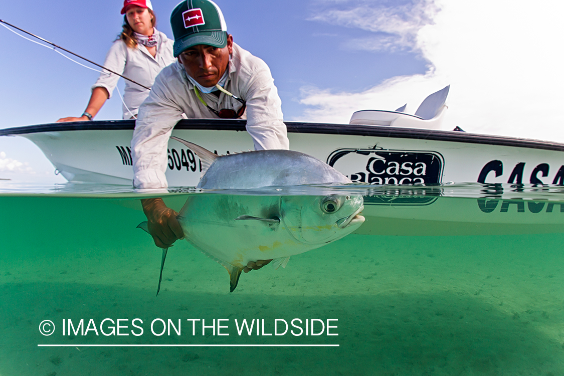 Flyfisherman releasing permit.