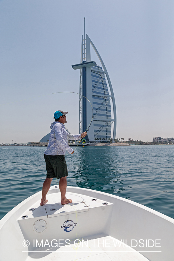 Flyfishing for queenfish off the coast of Dubai, UAE.