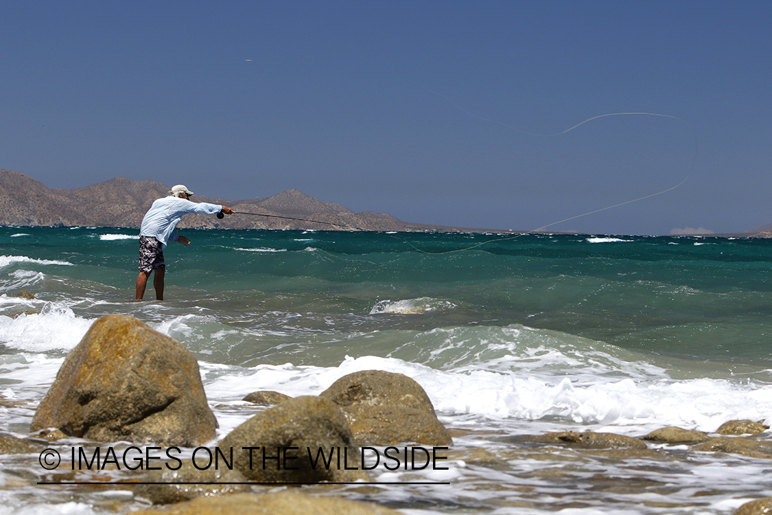 Flyfisherman fishing for roosterfish on beach.