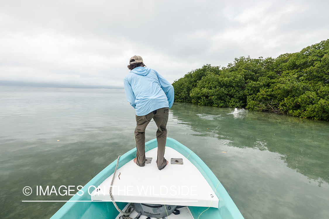 Flyfisherman fighting fish in Belize.