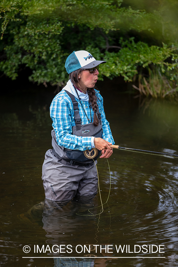 Woman fly fishing guide(Marcela Appelhanz) on stream.