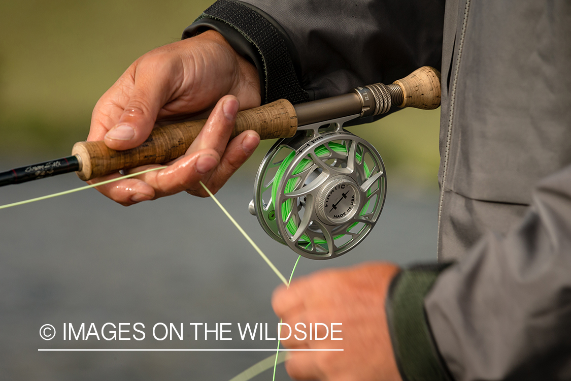 Flyfisherman holding fly rod.