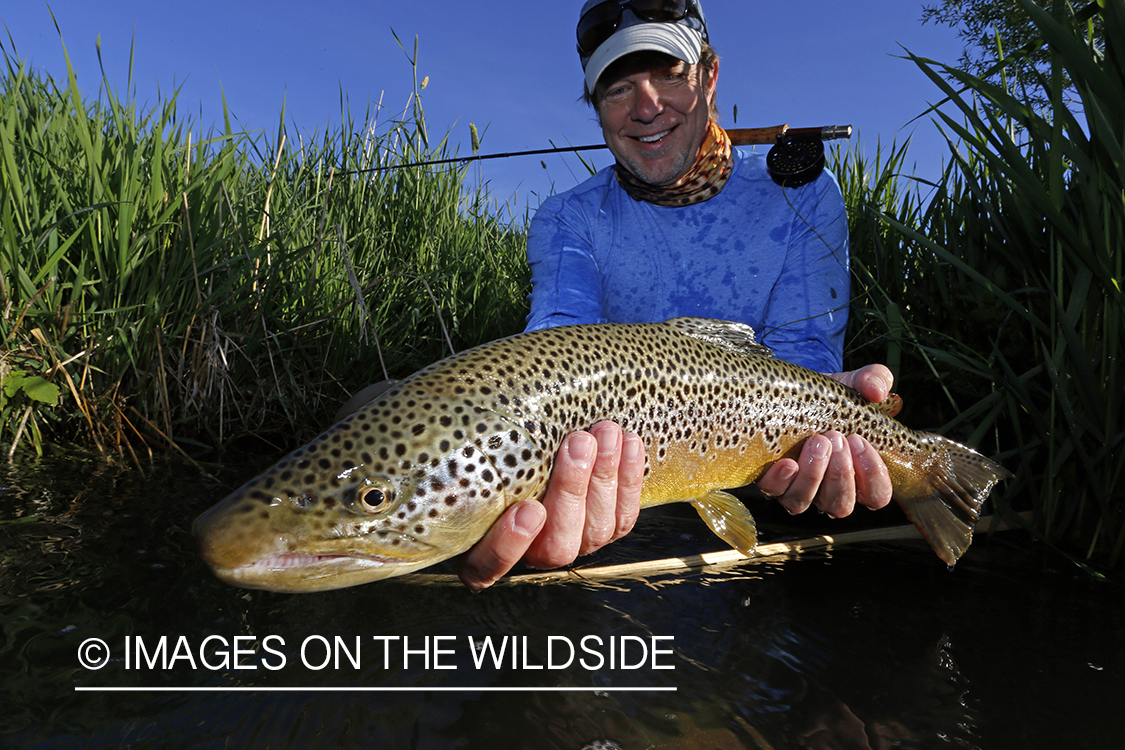 Flyfisherman with brown trout.