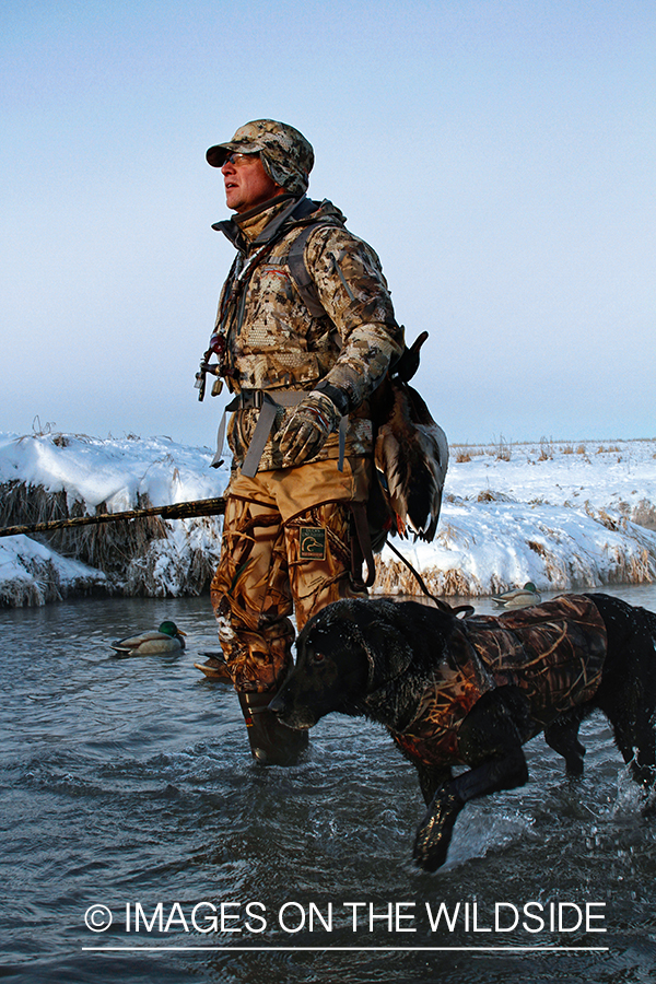 Waterfowl hunter and dog with decoys.