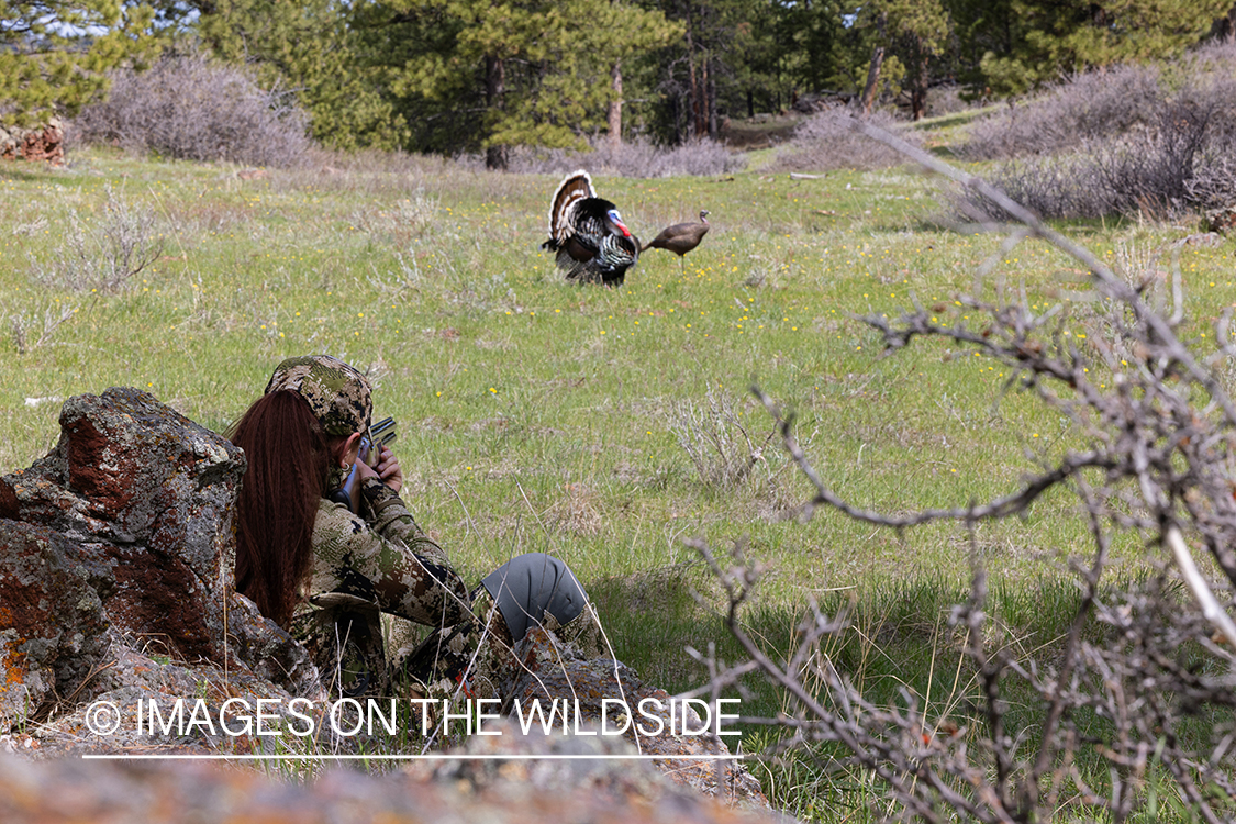 Women hunter aiming at turkey.