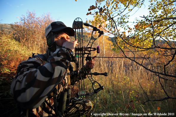 Bow hunter calling elk. 