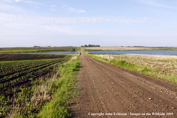 Wetlands near crop fields