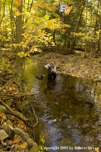 Flyfisherman on Pennsylvania spring creek.