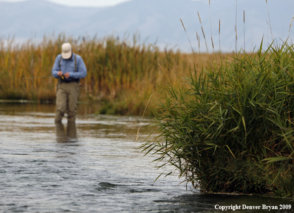 Flyfisherman on stream