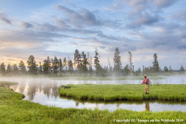 Sentinel Creek, Yellowstone National Park.