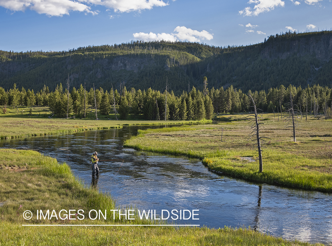 Flyfishing, Upper Firehole River, Yellowstone National Park.