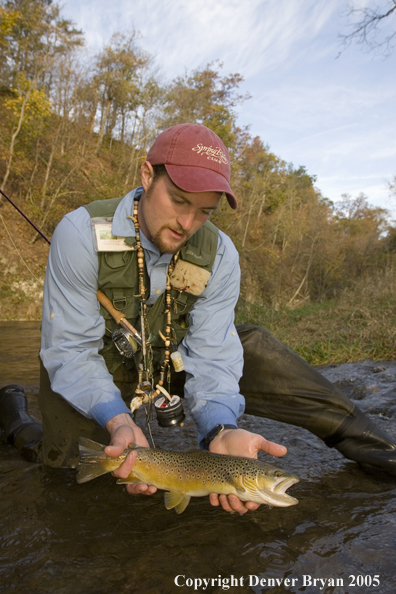 Close-up of nice brown trout.