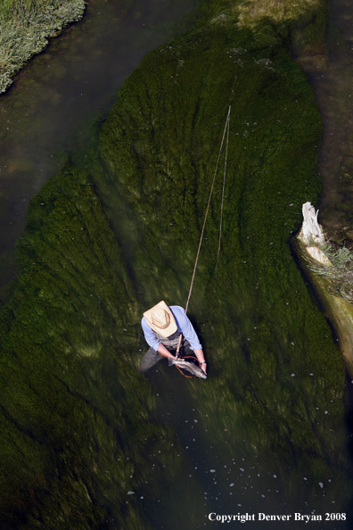 Flyfisherman fishing warm springs