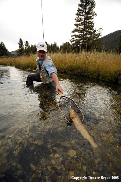 Flyfisherman Landing Cutthroat Trout