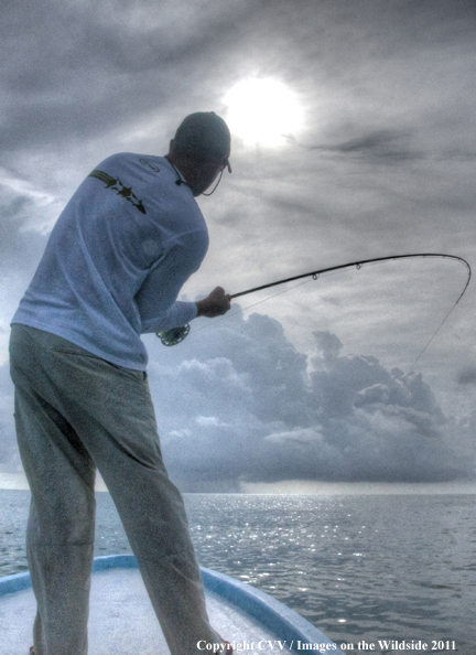 Flyfisherman on boat with fish on. 