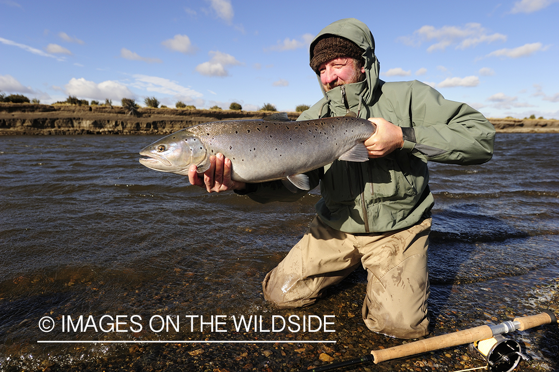 Flyfisherman with sea-run brown trout.