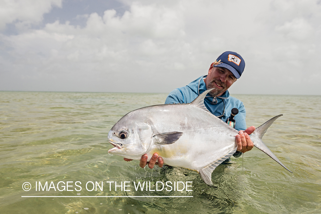 Flyfisherman releasing Permit.