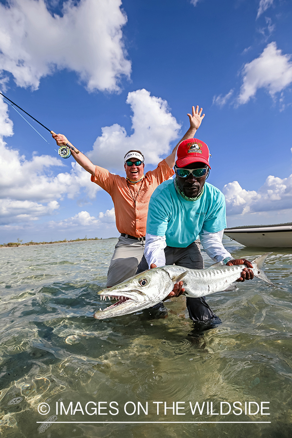 Flyfisherman releasing Barracuda.