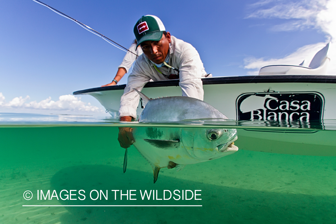 Flyfisherman releasing permit.