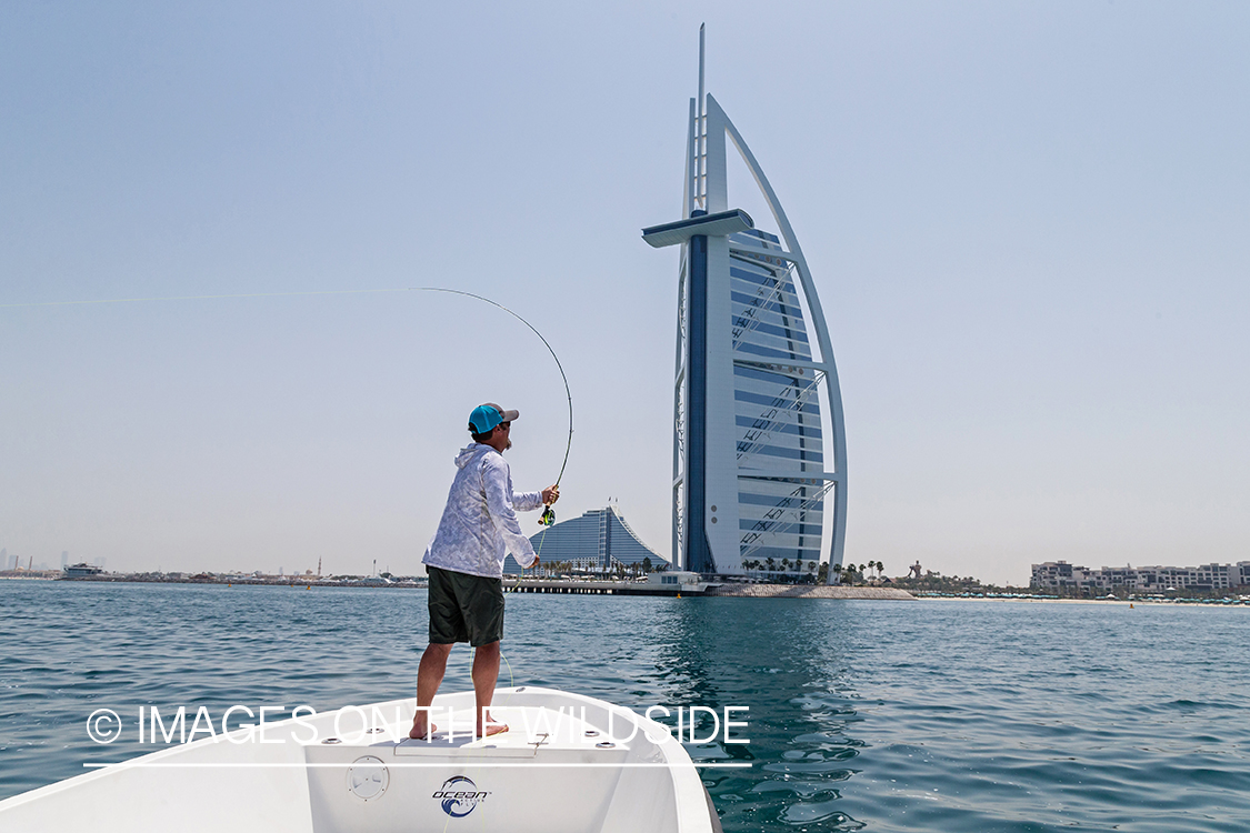 Flyfishing for queenfish off the coast of Dubai, UAE.