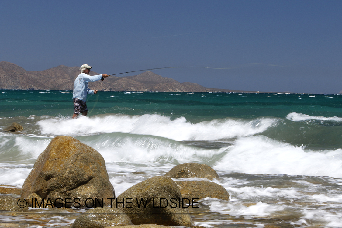 Flyfisherman fishing for roosterfish on beach.