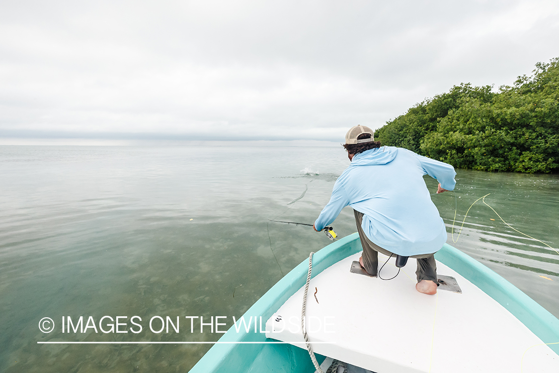 Flyfisherman fighting fish in Belize.