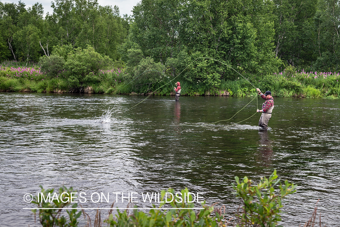 Flyfisherman fighting fish on the Sedanka river in Kamchatka Peninsula, Russia. 