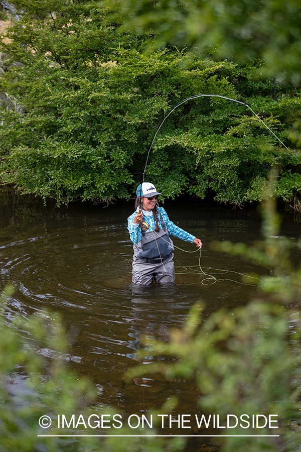 Woman fly fishing guide(Marcela Appelhanz) on stream.