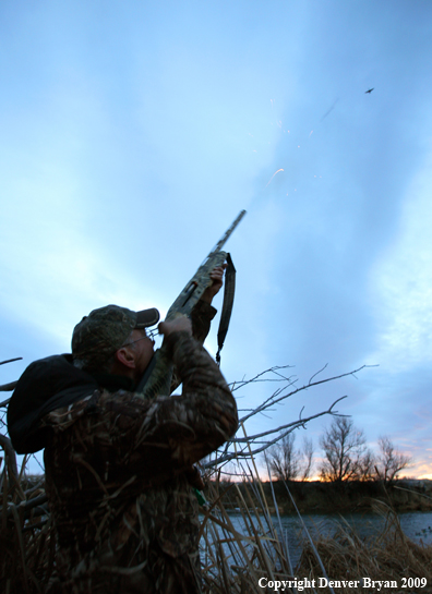 Waterfowl Hunter Shooting