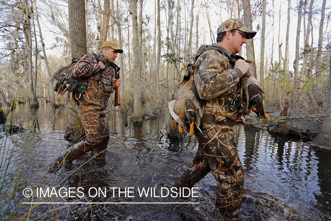 Waterfowl hunters with bagged waterfowl in southern wetlands. 