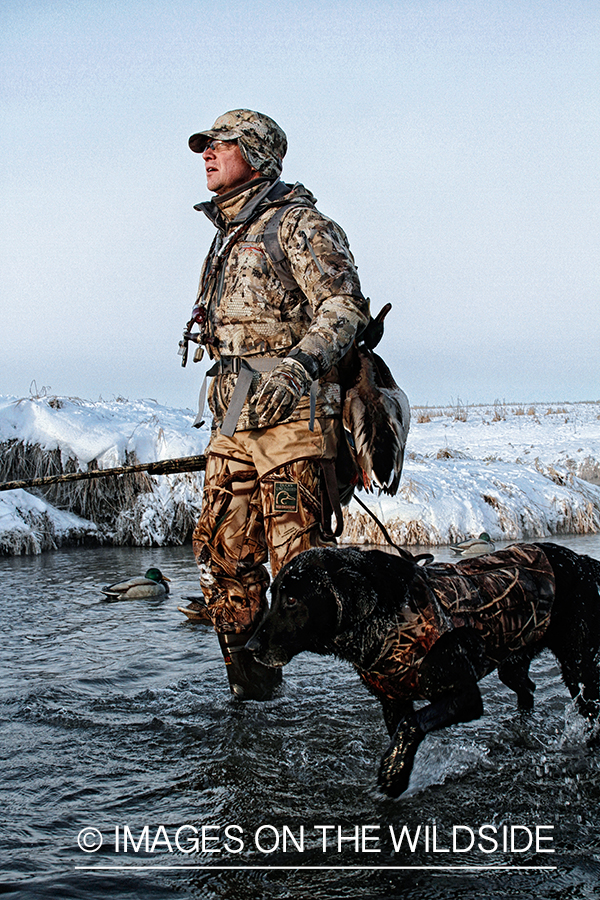 Waterfowl hunter and dog with decoys.