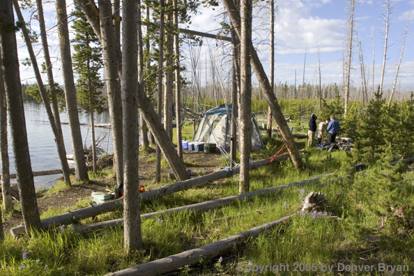 Flyfishermen at lakeside fishing camp.