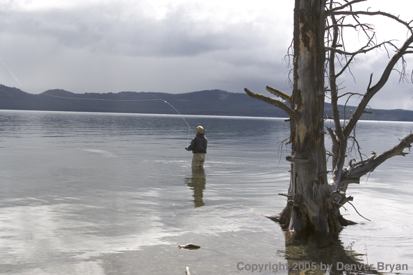 Flyfisherman fishing lake.