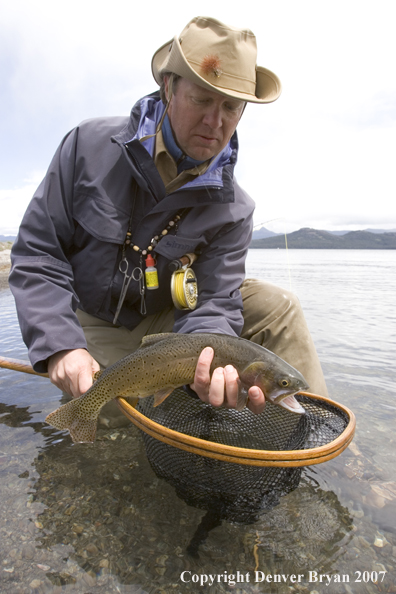 Flyfisherman releasing cutthroat trout.