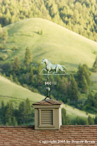 Bridger Mountains of Montana with horse weathervane on top of barn in foreground.