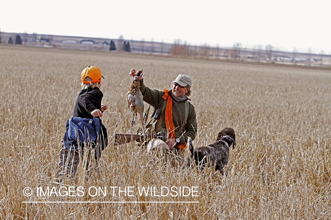 Father and son pheasant hunting. 