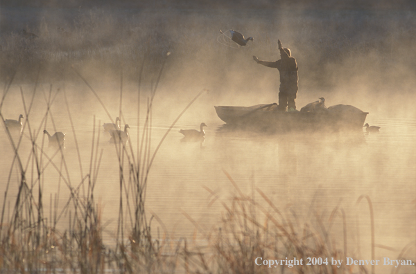 Waterfowl hunters setting decoys from boat.